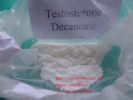 Testosterone Decanoate 5721-91-5 SH-TS004